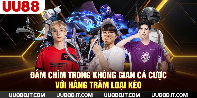 Đắm chìm trong không gian cá cược với hàng trăm loại kèo