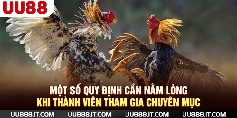 Một số quy định cần nằm lòng khi thành viên tham gia chuyên mục