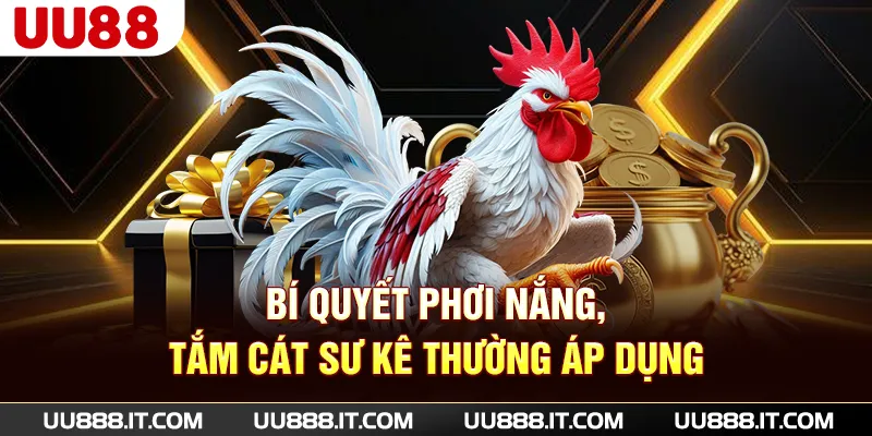Bí quyết phơi nắng, tắm cát sư kê thường áp dụng
