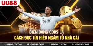 Biến Động Odds Lạ - Cách Đọc Tín Hiệu Ngầm Từ Nhà Cái