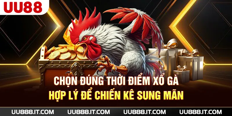 Chọn đúng thời điểm xổ gà hợp lý để chiến kê sung mãn