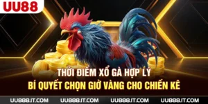Thời Điểm Xổ Gà Hợp Lý - Bí Quyết Chọn Giờ Vàng Cho Chiến Kê