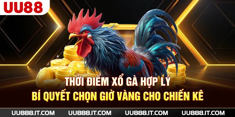 Thời Điểm Xổ Gà Hợp Lý - Bí Quyết Chọn Giờ Vàng Cho Chiến Kê