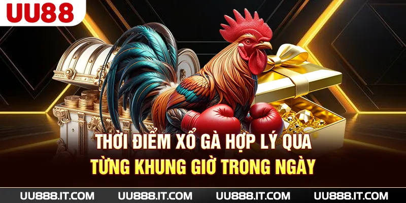Thời điểm xổ gà hợp lý qua từng khung giờ trong ngày