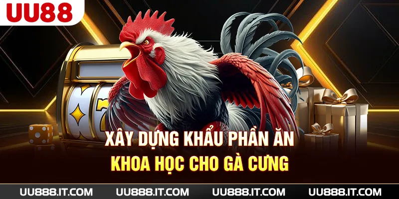 Xây dựng khẩu phần ăn khoa học cho gà cưng